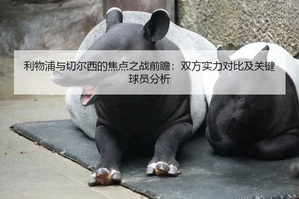 利物浦与切尔西的焦点之战前瞻：双方实力对比及关键球员分析